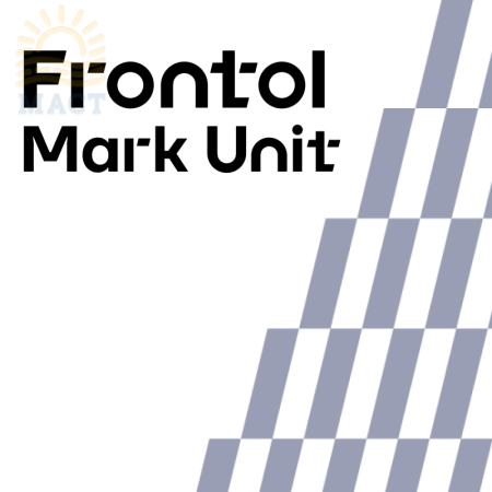 АТОЛ Frontol Frontol Mark Unit (1 год) - фото
